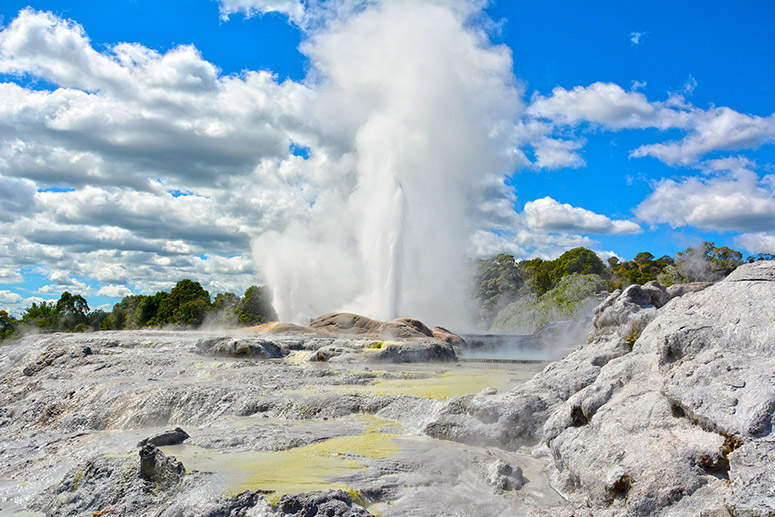 Rotorua Tour with Te Puia