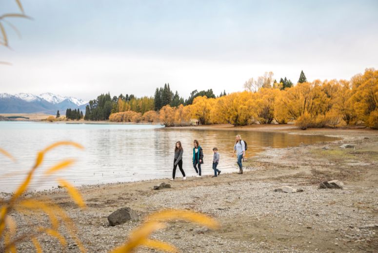 Mt Cook to Tekapo Tour