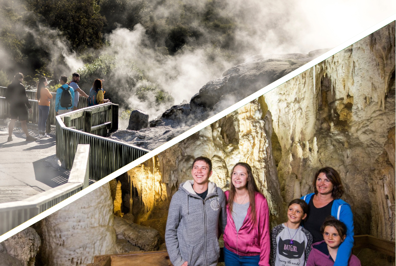 Auckland to Rotorua One-Way Tour via Waitomo Caves