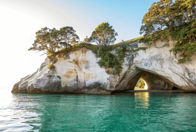 Cathedral Cove & Coromandel Tour from Auckland