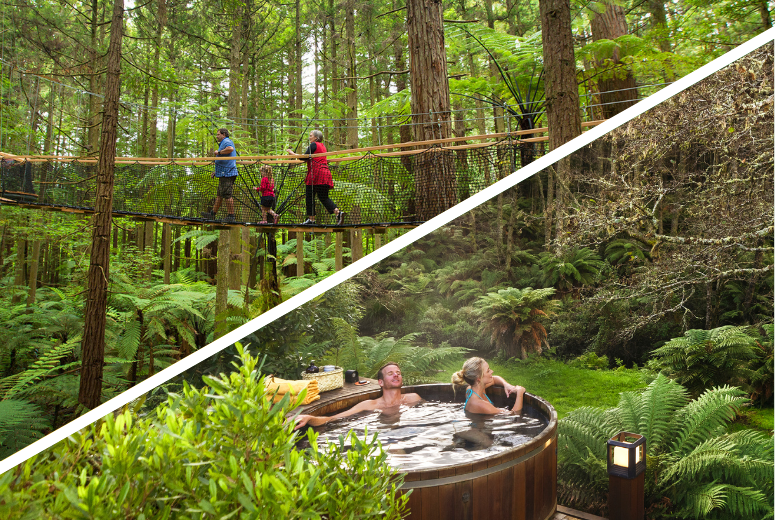 Redwoods Treewalk & Secret Spot Hot Tubs Rotorua Tour from Auckland