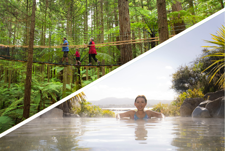 Redwoods Treewalk & Polynesian Spa Rotoura Tour from Auckland