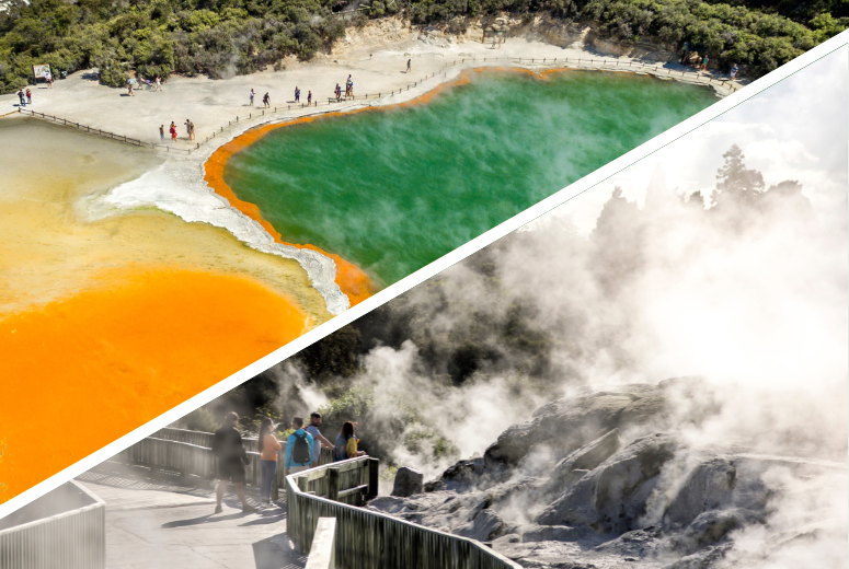 Rotoura Tour from Auckland with Wai-O-Tapu & Te Puia